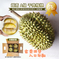 越南A級干堯榴槤(9kg±10%原箱產地直送)