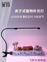 植物補光燈 貴翔 多肉補光燈 USB夾子式 上色全光譜LED花卉盆景植物燈生長燈 快速出貨