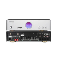 250W/450W /750W optional Amplifiers Home Audio amplifier karaoke
