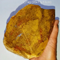 2,7 kg batu fosil liwung macan (361)
