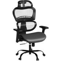 3D Lumbar Support Office Chair Mesh Computer Gaming Executive Swivel Chairs Chair (Black) Blade Wheels Desk Armchair Student