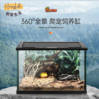 工廠直銷 爬蟲箱 雨林缸 全透生態缸 爬蟲飼養箱 爬寵箱 飼養缸 豹紋守宮睫角肥尾鬆獅蜥蜴角蛙螳螂蜘蛛蛇飼養盒 飼養籠新店開業 全館折扣 售後保障 優選/免運