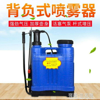 市下背負式噴霧器便攜氣壓式農用噴霧噴水壺澆花噴壺園藝噴藥灑水AQ