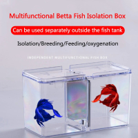 อะคริลิคใส Two Splits Guppy Fish Tank Aquarium Betta Fish Bowl โปร่งใส Aquarium Hatchery Breeding Is