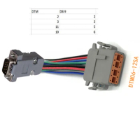 3 meter DT connector deutsch dtm 12pin DTM06-12SA female 18 AWG Wire DB9 male connector wire harness custom