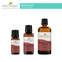 Plant Therapy Frankincense Serrata Essential Oil