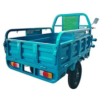 Hot Selling Electric Tricycles Cargo Truck Big Wheel Tricycle for Adult