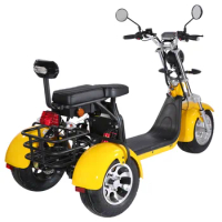 3 Wheel Golf Citycoco Bag Cargo Electric Tricycles Mobility Scooter