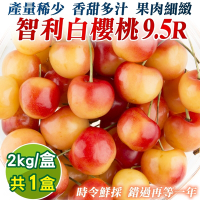 【天天果園】智利空運9.5R白櫻桃2kg禮盒
