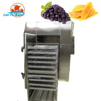 Fruit and Vegetable Dehydrator Lemon Drying Machine