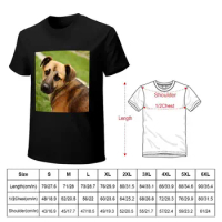 Dog ~ Mr. Jr. Bee ~ T-shirt aesthetic clothes for a boy plus sizes animal prinfor boys mens t shirts pack