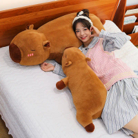 5070เข้าหมอนผ้ากำมะหยี่สุดสร้างสรรค์ลายน่ารัก