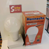 (30W LIGHT SENSOR HANNOCHS) Lampu led cahaya