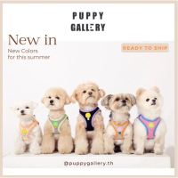 [พร้อมส่ง] Puppy Gallery - Plus Alpha soft harness ฮาเนส เสื้อรัดอกสุนัข สไตล์เกาหลี สายรัดอกสุนัขสี