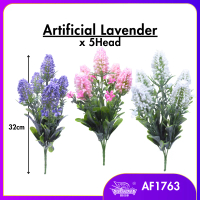 1 BUSH MINI LAVENDER / BUNGA LAVENDER / FLOWER AF1763