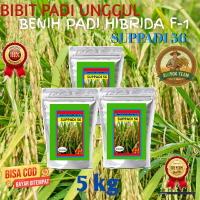 Suppadi Benih Padi Hibrida F-1 Suppadi 56 Kualitas Unggulan Kemasan 5 Kg Potensi Hasil 8 4 9 3 Ton P
