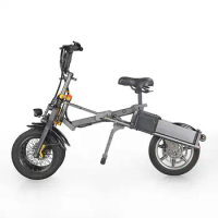 EcoRider E6-7 Cheaper Electric Bike 14 Inch City Road Folding Bicycle 250W 48V Chariot with Lithium Battery