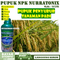 NPK NURRATONIX 500ML Pupuk Cair Penyubur Akar Batang Daun Bunga Buah Padi | Pupuk NPK Cair Padi Terb