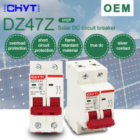 2P DC 12V-550V Solar Mini Circuit Breaker 6A 10A 16A 20A 25A 32A 40A 50A 63A DC MCB for PV System