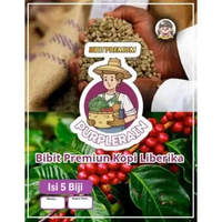 Bibit Premium Biji Kopi Liberika | Biji Bibit Kopi Liberika | Biji Benih Kopi Liberica