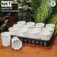 1 SET TRAY + 12 POT PAGODA 10 PUTIH TRAY NKT 50CM | TRAY SEMAI BIBIT