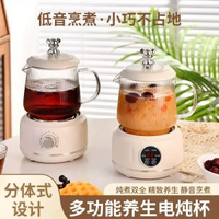 多功能養生杯電燉杯小型迷你加熱水杯煮茶養生壺熱牛奶辦公室