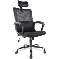 Office Chair, Ergonomic Mesh Home Office Computer Chair with Lumbar Support Mesh High Back/Swivel Rolling (Black)
