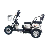 Cheap adult electric tricycle electric tricycle used for adult 3 wheel e-bike scooter