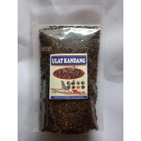 ULAT KANDANG KERING 100 GRAM PAKAN MAKANAN BURUNG KACER JALAK PLECI CIBLEK ANIS CUCAK IJO MURAI