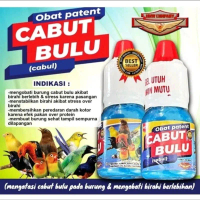 CABUL CABUT BULU TUNTAS BMW OBAT PATEN VITAMIN MENGOBATI MASALAH BURUNG CIAK BULU CABUT BULU EFEK OV
