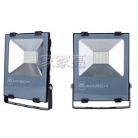(A Light) MARCH 50W LED 防水 投光燈 IP66 白光 黃光 50瓦