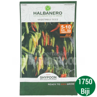 Benih Cabai Shypoon @1750 butir