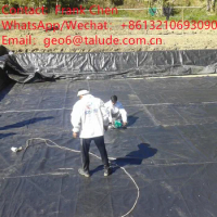 Geomembrane Factory Fish Pond Waterproof Pond Liner 0.5-3mm Hdpe Geomembranes Bentonite Clay Pond Liner