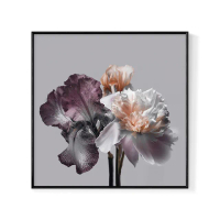 【菠蘿選畫所】牡丹花姿-25x25cm(佈置/花卉掛畫/牡丹/空間佈置/北歐/臥房/方形/牡丹掛畫)