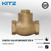 KITZ Check Valve 2 Inch Bronze 125 R