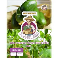 Bibit Premium Timun Giok Golden Boy | Biji Benih Mentimun Giok Jade Boy | Ketimun Jade Boy