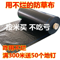 生態防草布果樹果園除草防草地布可降解除草蓋草地膜農用園藝地釘