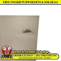 3 MM x 120 CM x 240 CM / TM Triplek Multiplek Papan Pintu Biasa Lembar