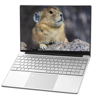 QMDZ Windows 10 11 Pro Ram 12GB Rom 128GB 256GB 512GB 1TB SSD Ultrabook Computer 5G Wifi Bluetooth Intel J4125 Gaming Laptop