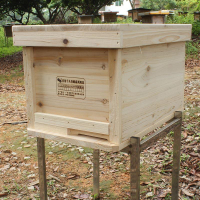 杉木蜜蜂箱全套誘蜂箱標準中蜂箱養蜂用具格子土蜂箱