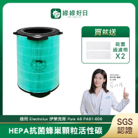 【綠綠好日】適用 Electrolux 伊萊克斯 Pure A9 PA91-606(HEPA抗菌RFID濾芯 複合 蜂顆活性碳 前置濾網＊2)