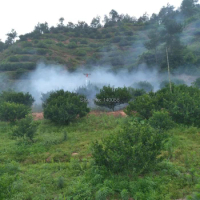Pesiticide Mist Generator Fog Sprayer For Fruit Trees Spray Pesticide Agricultural drone sprayer