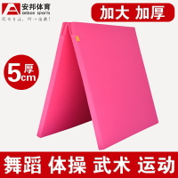 體操墊 練功墊 防滑舞蹈墊子加厚折疊技巧練功墊兒童武術空翻學校體育訓練體操墊『cyd6222』
