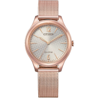 CITIZEN星辰 典雅大方米蘭時尚腕錶(EM0508-80X)/32mm