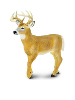 WHITETAIL BUCK