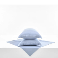 ชุดผ้าปูที่นอน 5 ฟุต (3ชิ้น) รุ่น Soul : Gentle Blue