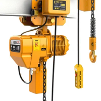 Electric Hoist, Chain Crane, 1ton-5ton, 220/380v, Removable, Panel Remote Control, Industrial, Custo