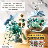 【A-ONE 匯旺】浮游花DIY材料包 乾燥花束材料包 小卡片 浮游花 乾燥花 永生花 不凋花 裝飾 DIY H06