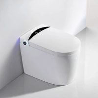 Sanitary Wares Automatic Bidet One Piece Toilet Modern Bathroom Ceramic Wc Intelligent Smart Toilet With Remote Control