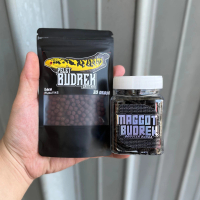 Paket Budrek Maru untuk proges bunga dan warna Yellow & Red Maru SaintHan